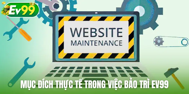 Mục đích thực tế trong việc bảo trì Ev99