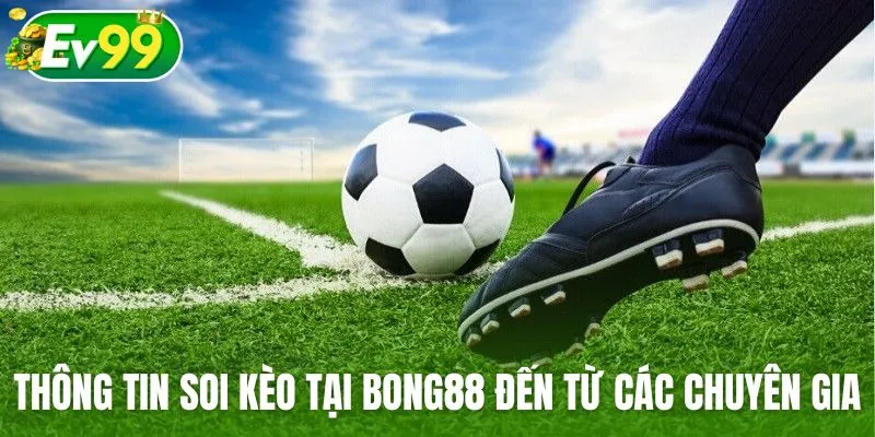 Thông tin soi kèo tại Bong88 đến từ các chuyên gia hàng đầu