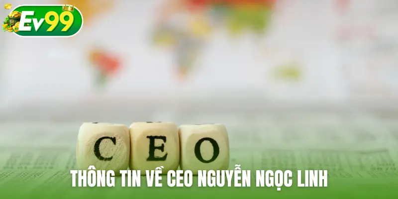 Thông tin về CEO Nguyễn Ngọc Linh